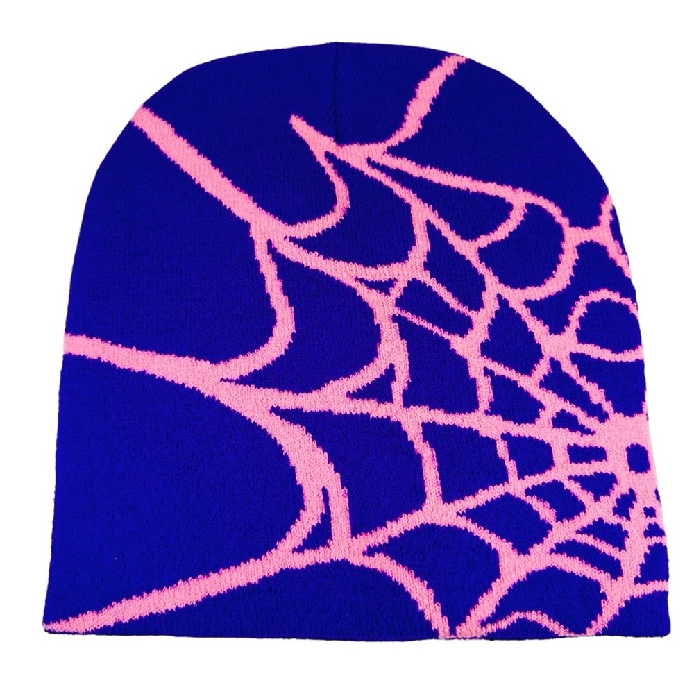 Blue and Pink Spiderweb Beanie